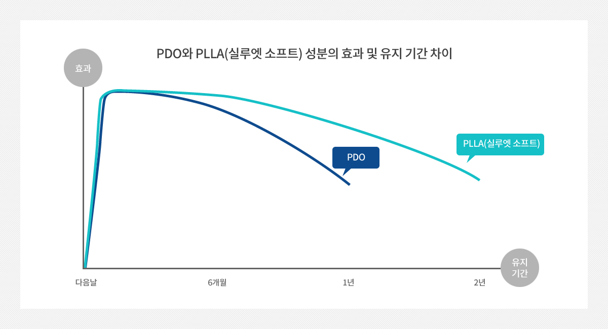 PDO와 PLLA(실루엣 소프트) 성분의 효과 및 유지 기간 차이